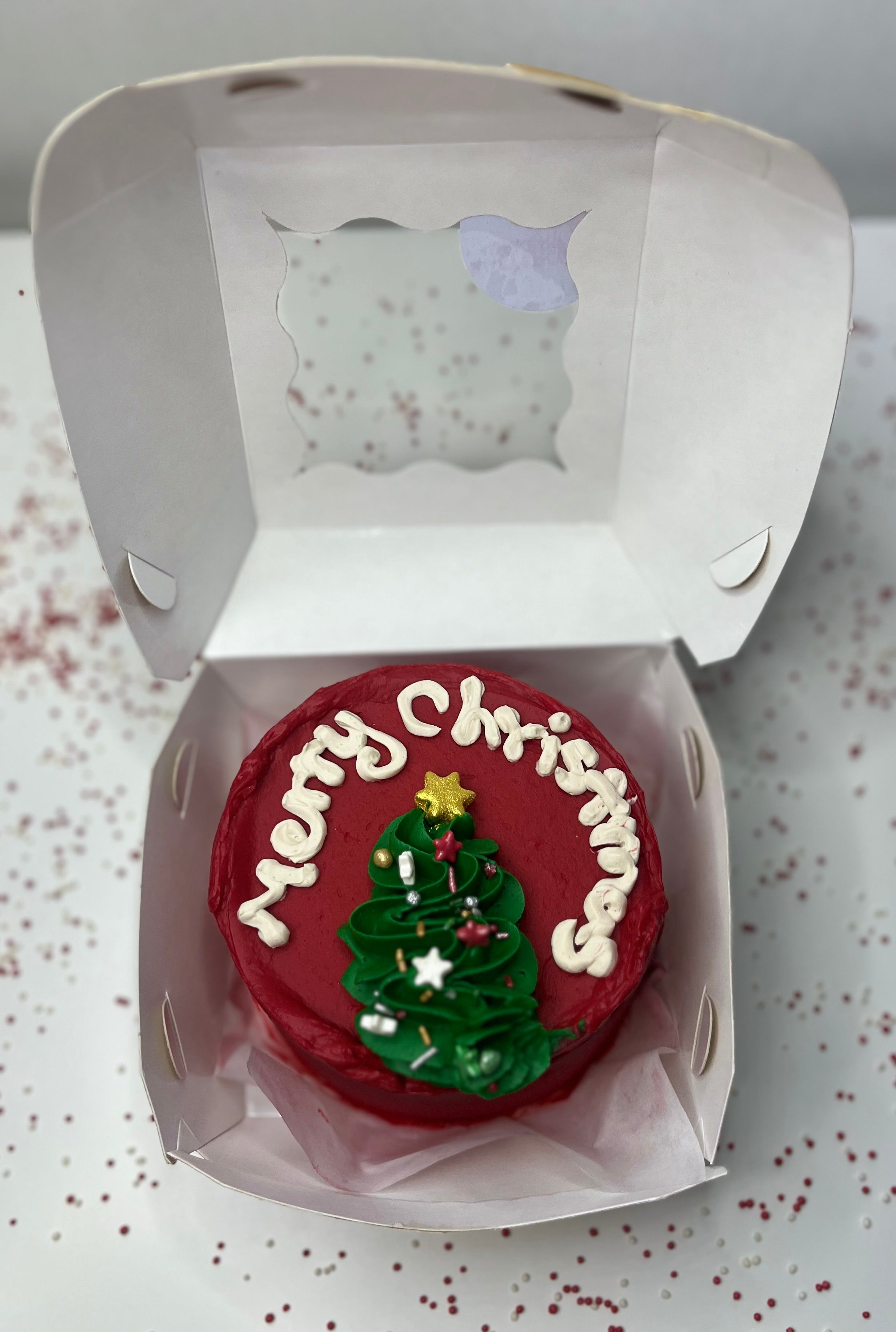 Merry Christmas cake