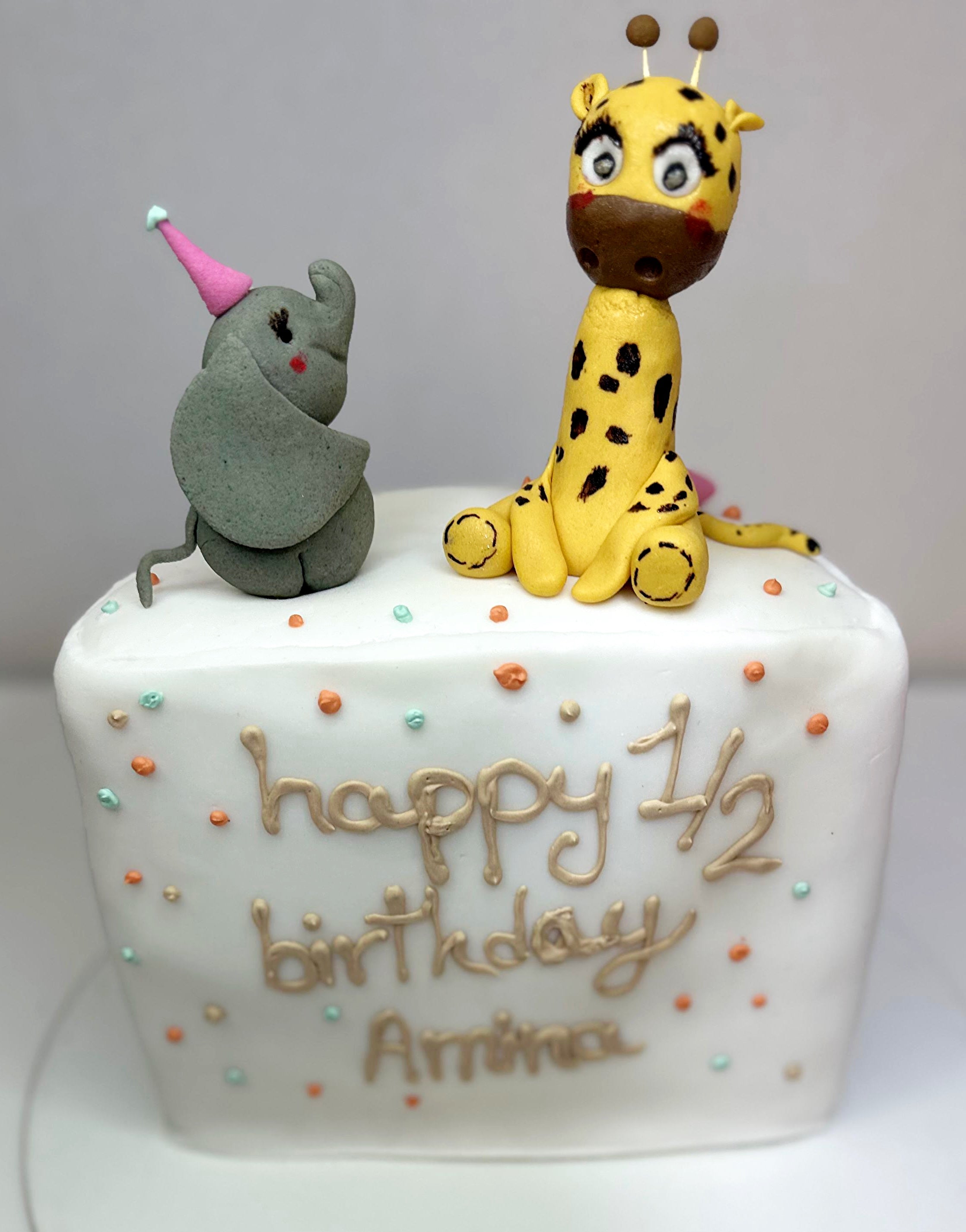 Animal Party Half Birthday Cake