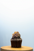 Professional Buttercup Bakery Cupcake