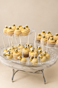 Proposal cake pops studio edit